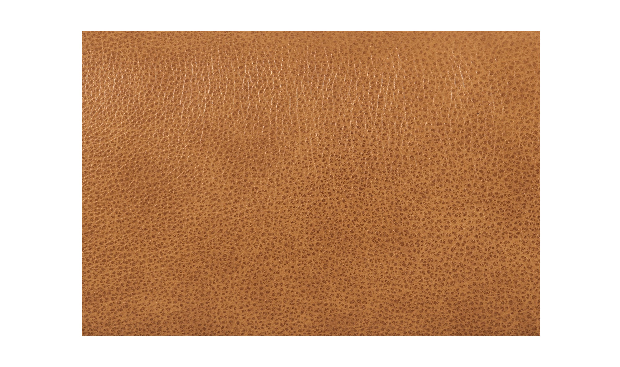 Verity Bench Tan Leather