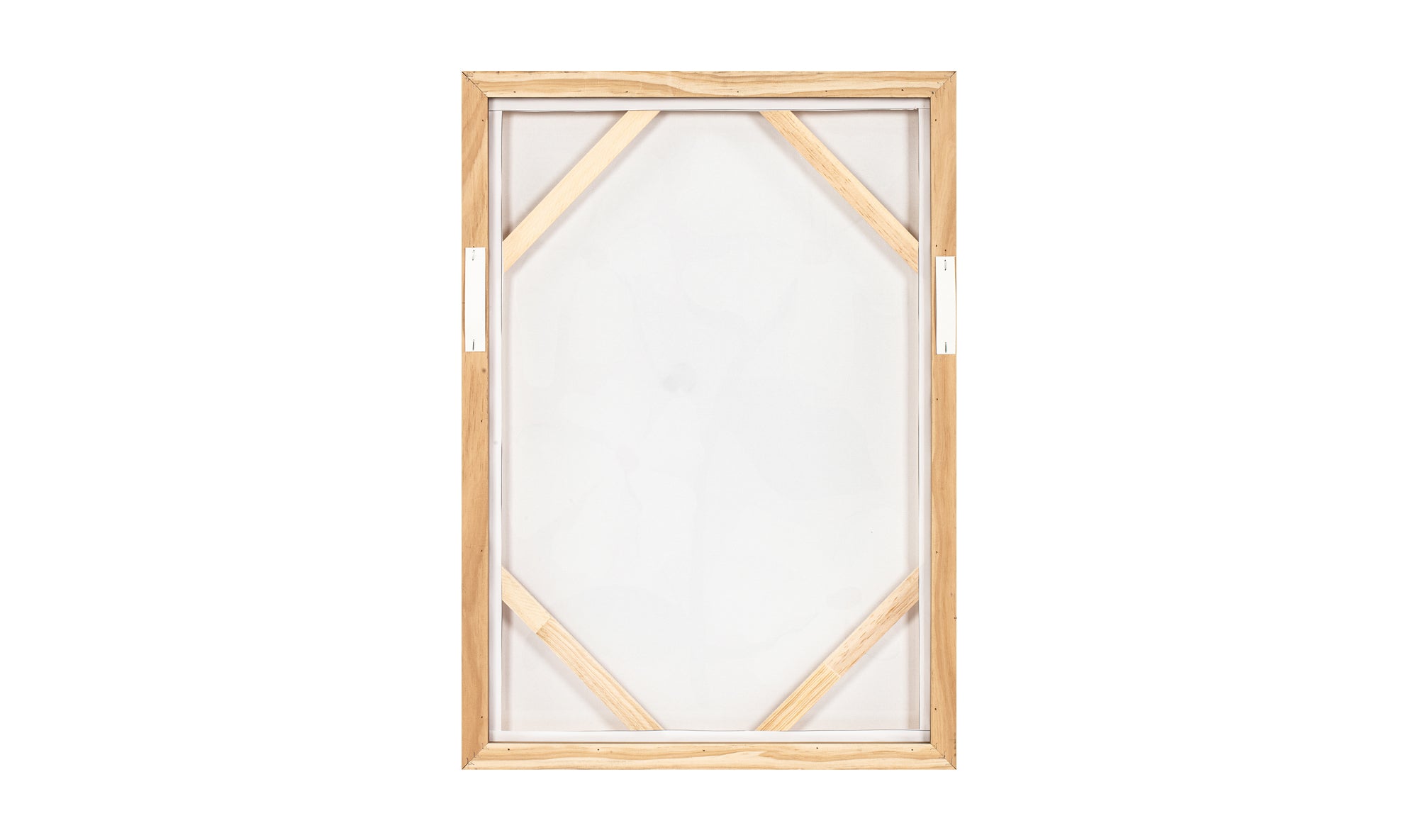 Blush Framed Painting