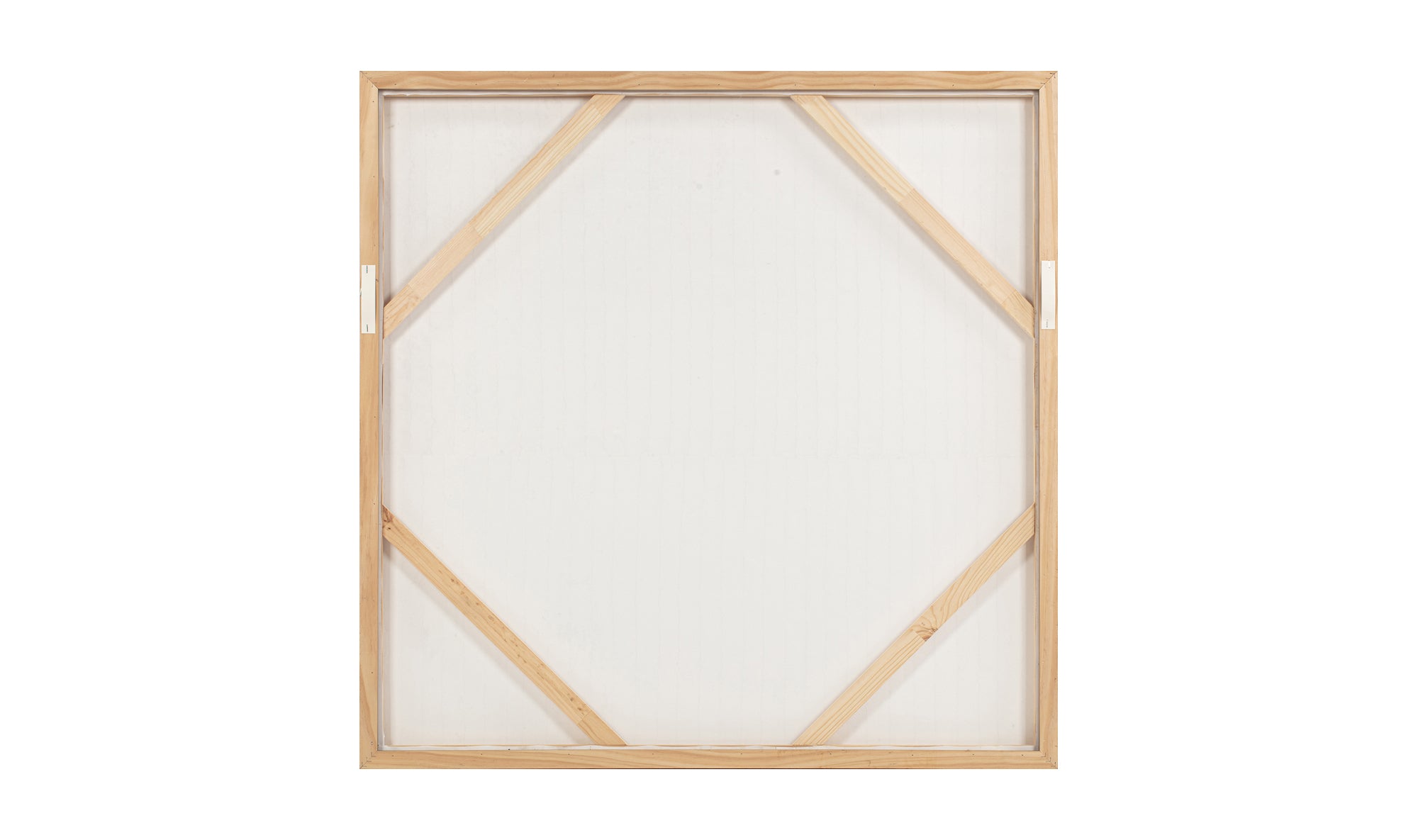 Willet Framed Painting