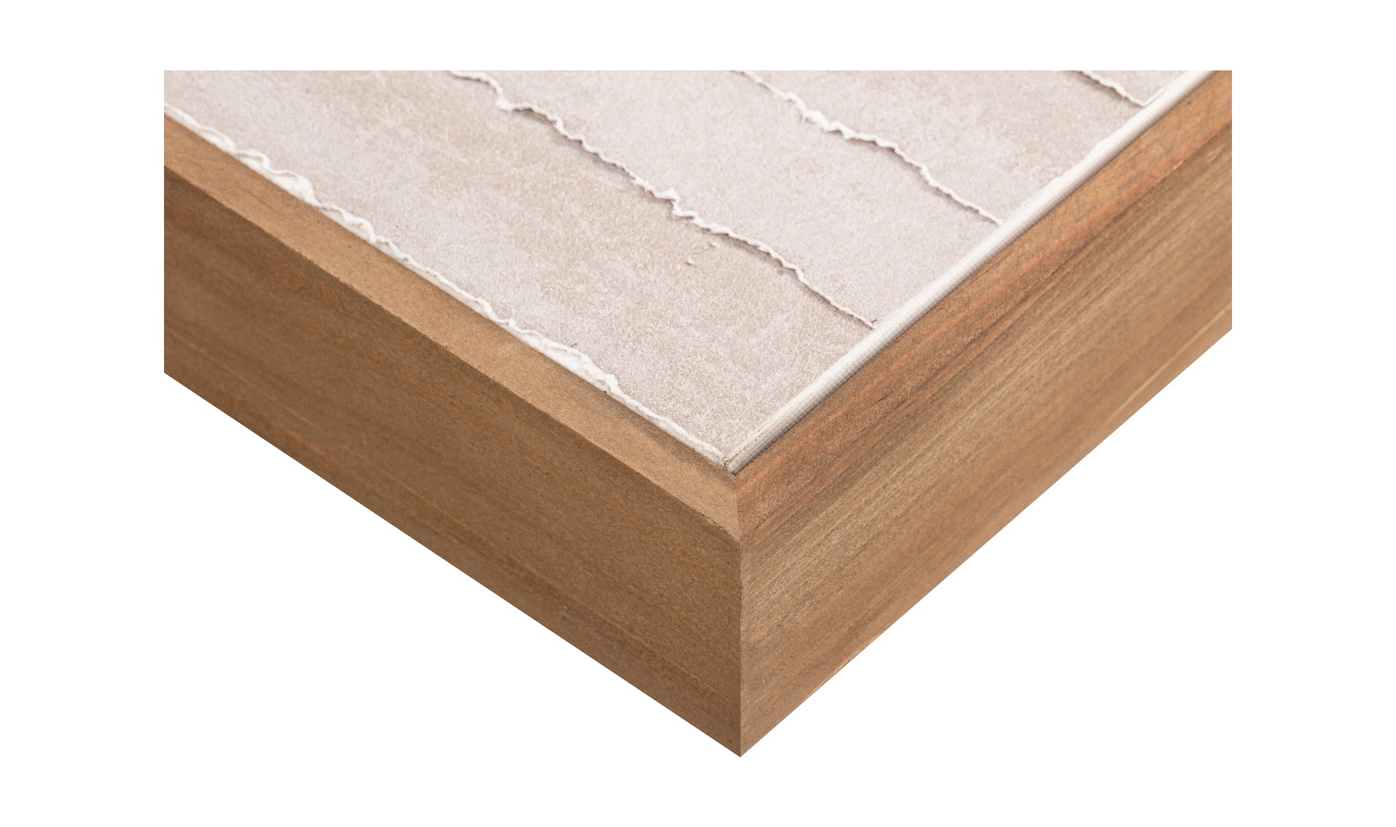 Willet Framed Painting