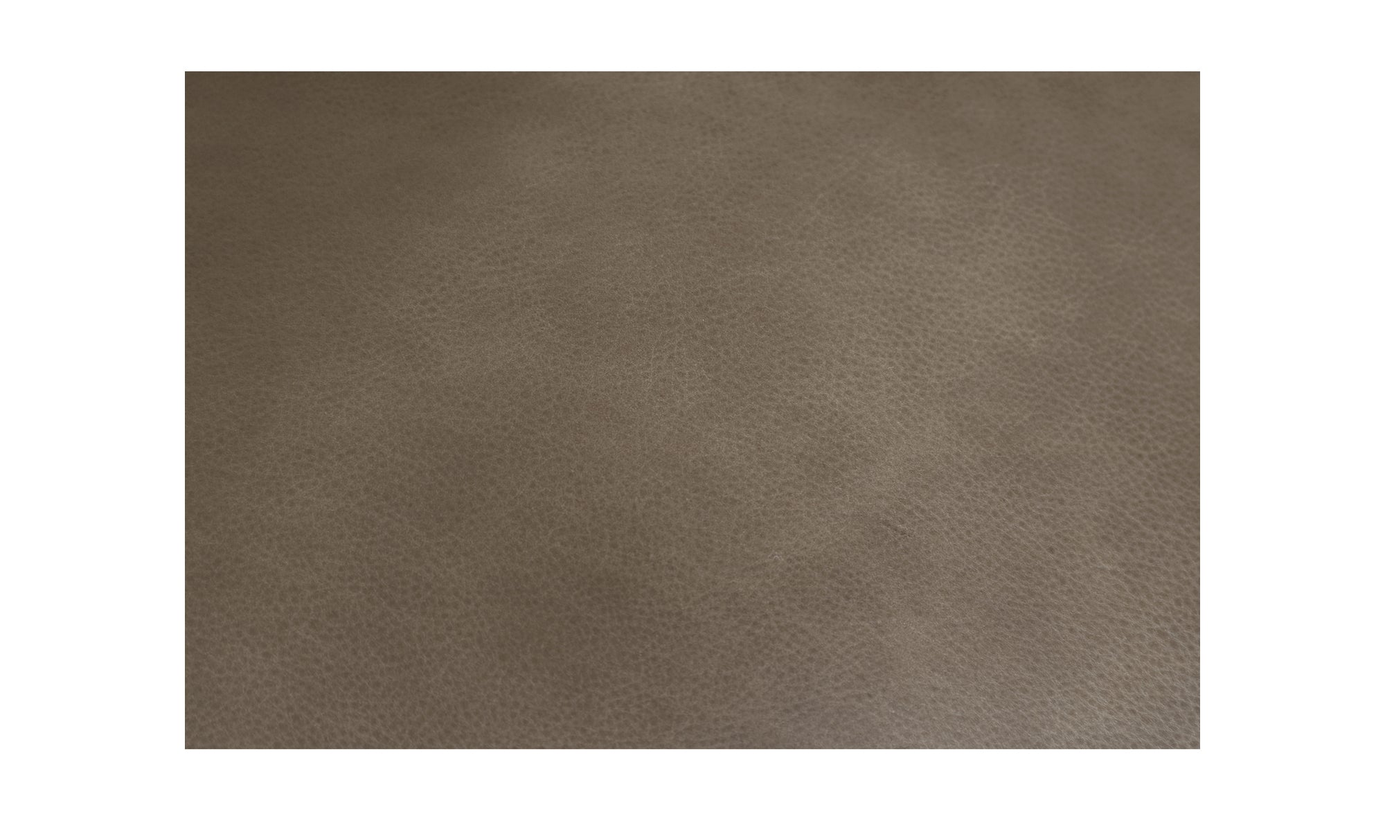 Eckersley Lounge Chair