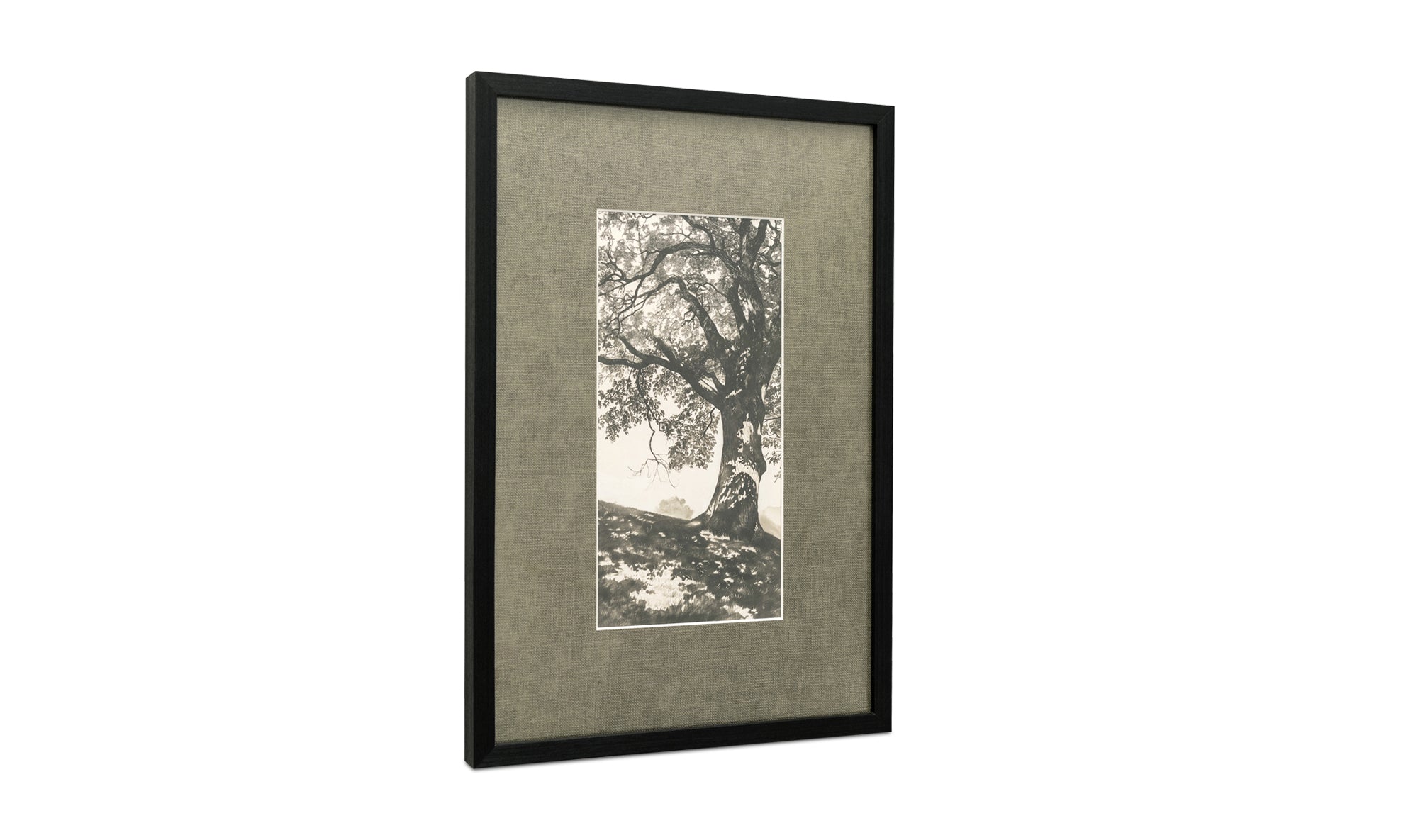 Arise Framed Print