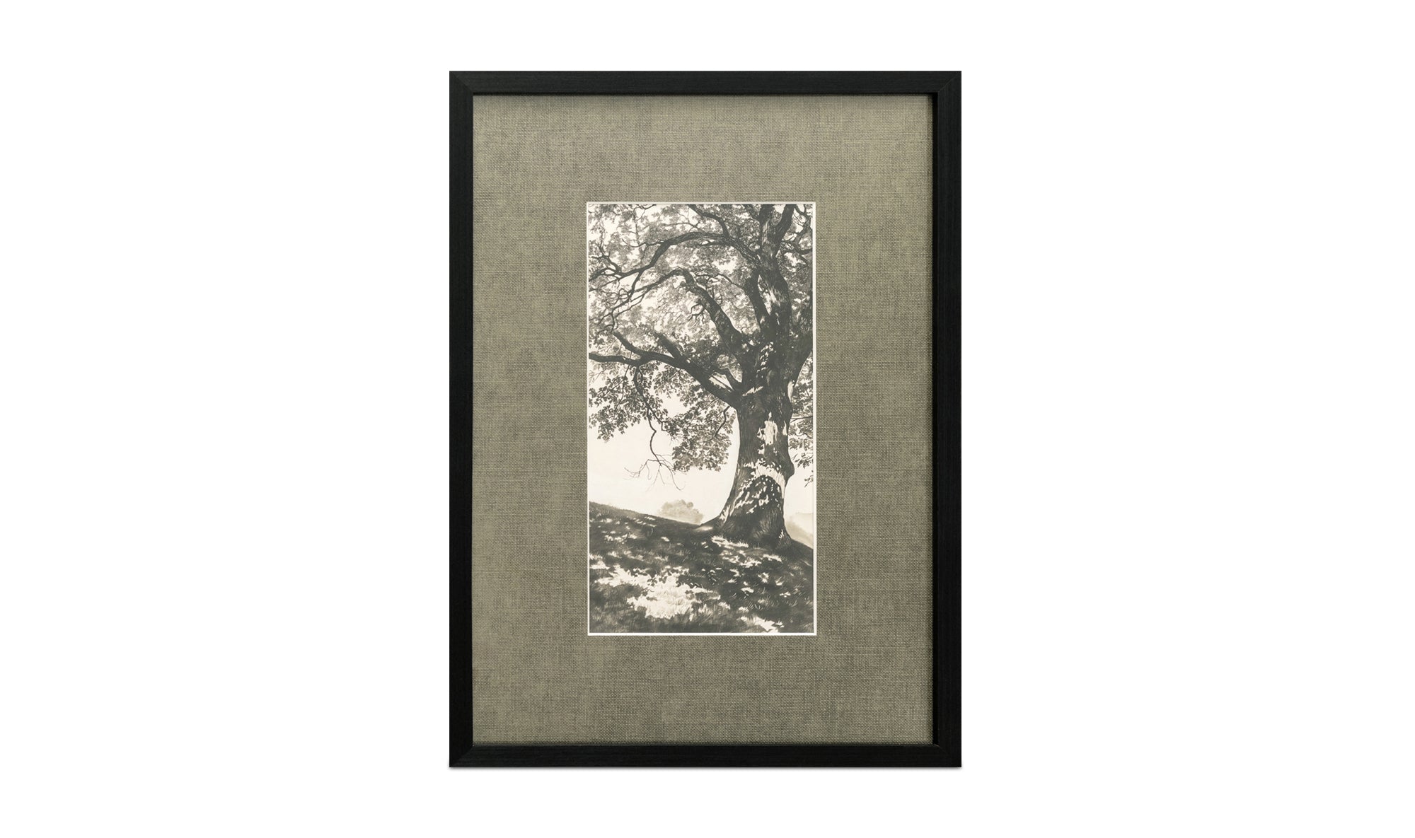 Arise Framed Print