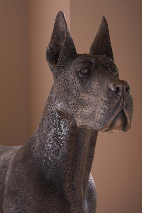 Great Dane, Standing , Bronze