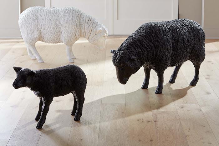 Texelaar Sheep, Lamb, Gel Coat Black