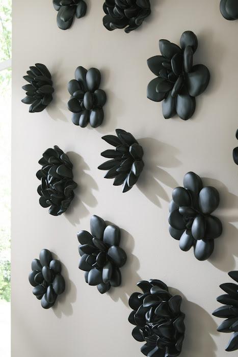 Compactum Succulent Wall Art , Smooth Matte Black