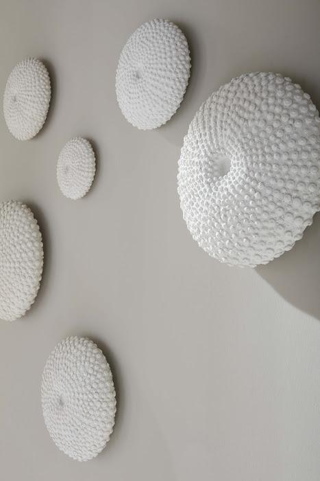 Sea Urchin Wall Art, Set Of 4