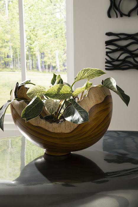 Burled Bowl, Faux Bois