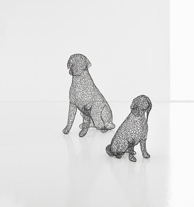 Crazy Wire Beagle, MD