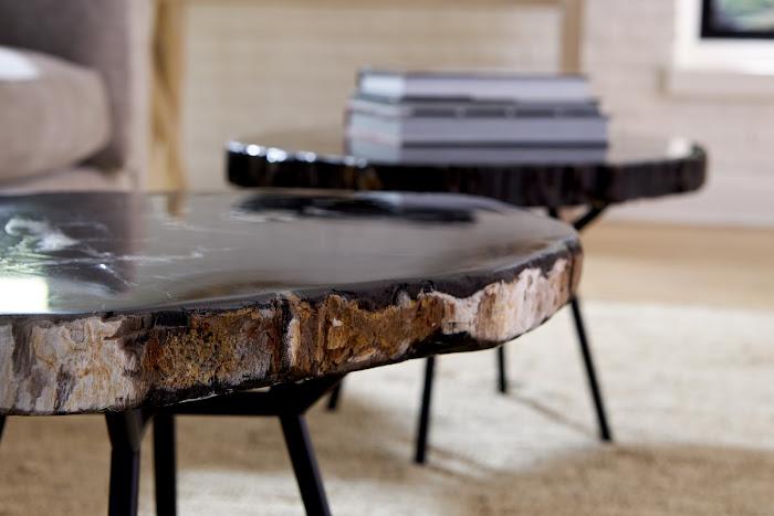 Petrified Coffee Table, Round, Metal Black Base