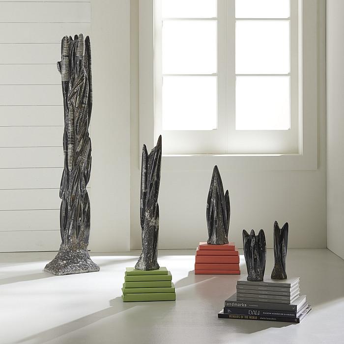 Fossilized Squid Sculpture, Assorted