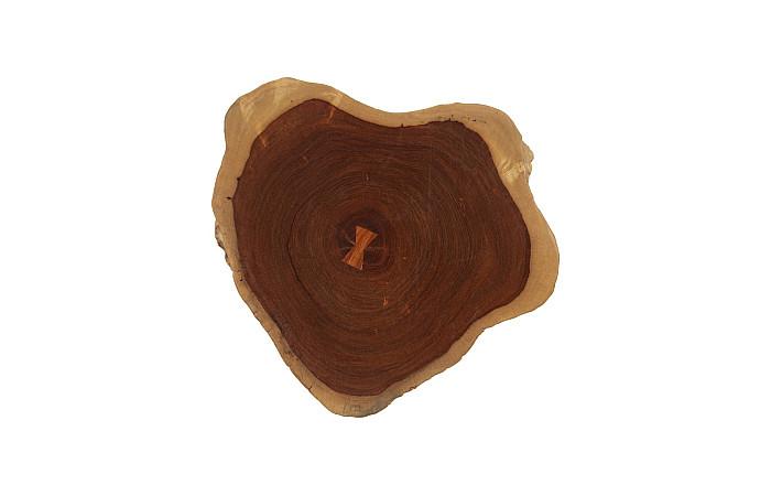 Pradoo Burled Wood Wall Decor