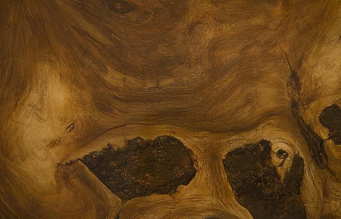 Captured Edge Coffee Table, Natural Finish w/Stainless Steel Legs, Glossy