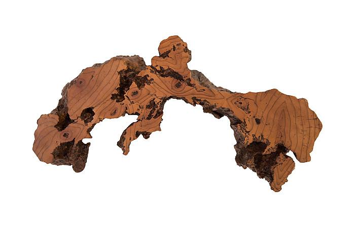 Burled Root Wall Art, Medium, Faux Bois Finish