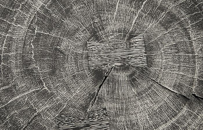 Curved Wood Stool, Thin, Gray Stone