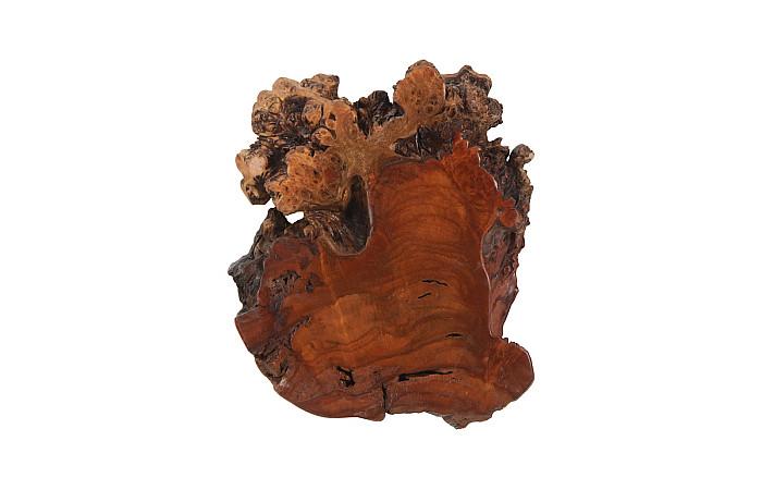 Pradoo Burled Wood Wall Decor