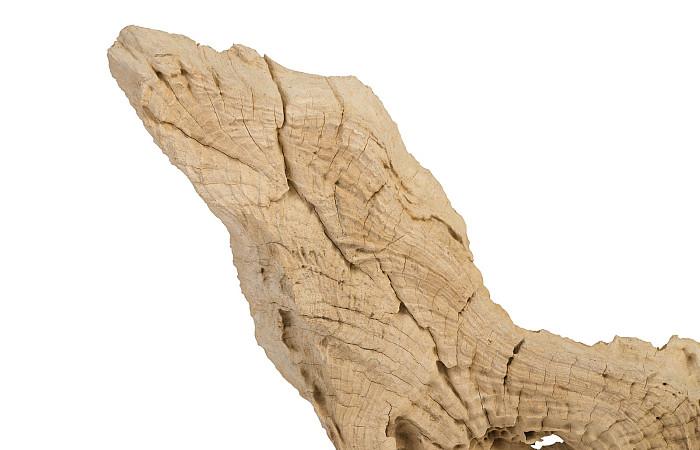 Teak Sculpture on Stand