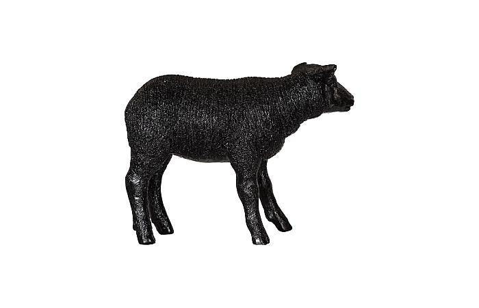 Texelaar Sheep, Lamb, Gel Coat Black