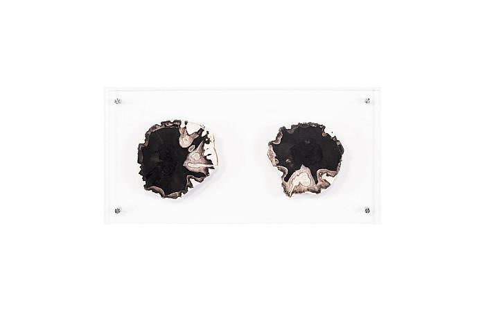 Floating Petrified Double Slice Wall Art