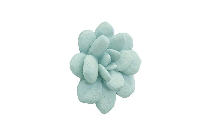 Laui Succulent Wall Art, Sage