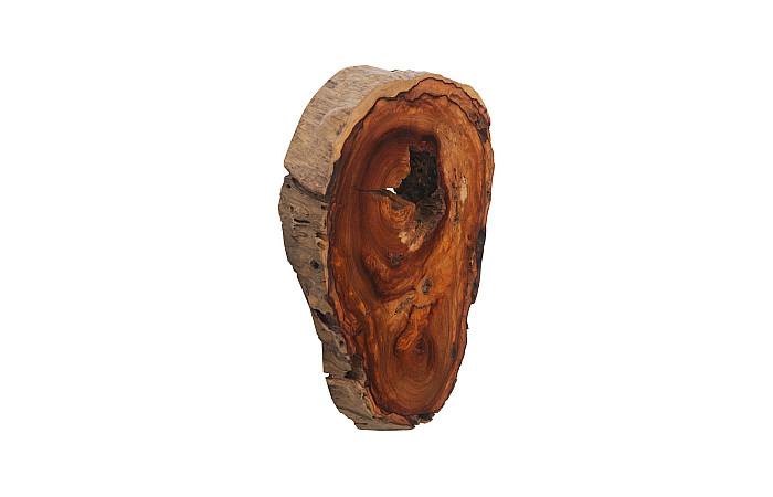 Pradoo Burled Wood Wall Decor