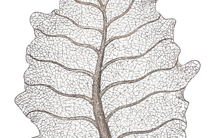 Metallurgy Leaf Wall Art, Stainless Steel