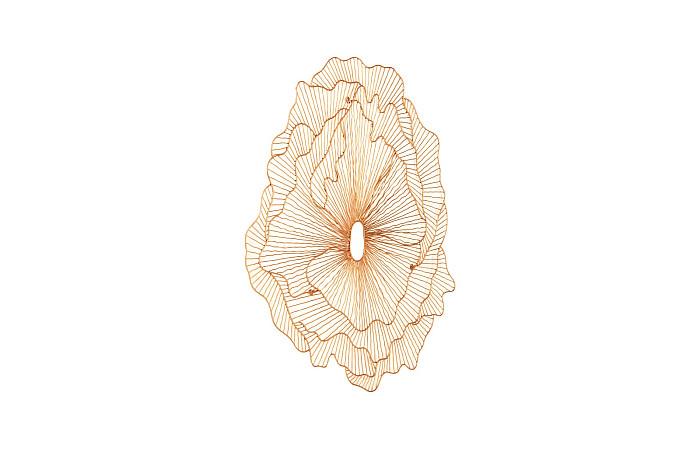 Poppy Flower Wall Art, Copper, LG