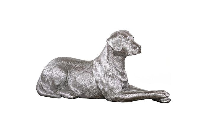 Labrador, Laying, Silver Leaf