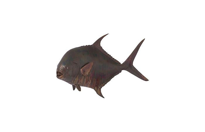 Permit Fish Wall Sculpture, Resin, Copper Patina Finish