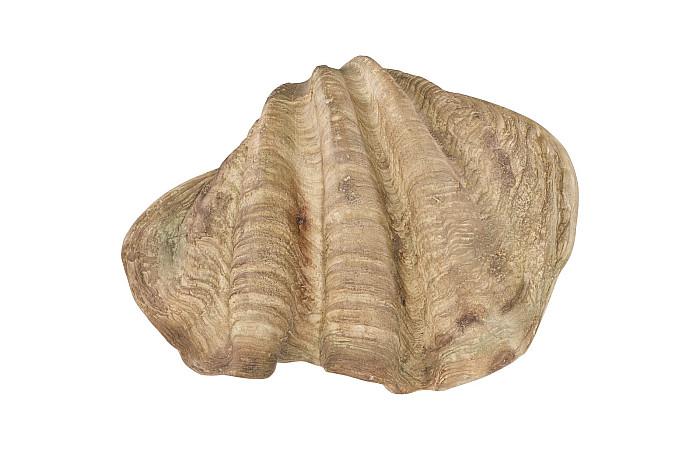 Cast Clam Shell Bowl, Faux Finish, LG