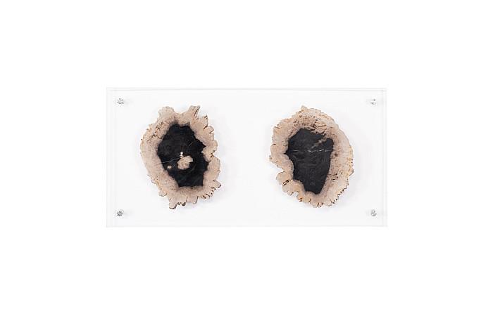 Floating Petrified Double Slice Wall Art