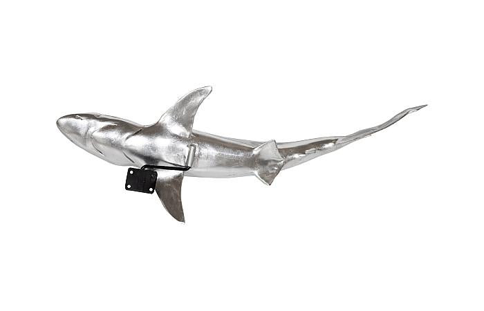 Whaler Shark, Silver Leaf