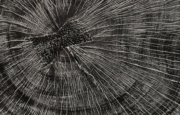 Chamcha Wood Stool, Gray Stone