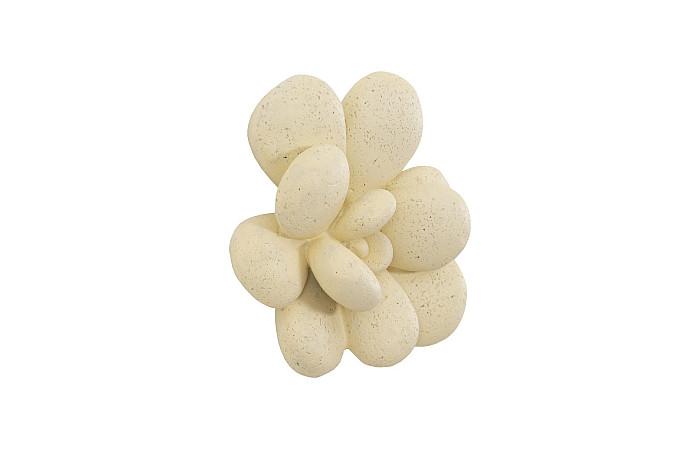 Oviferum Succulent Wall Art, Chartreuse