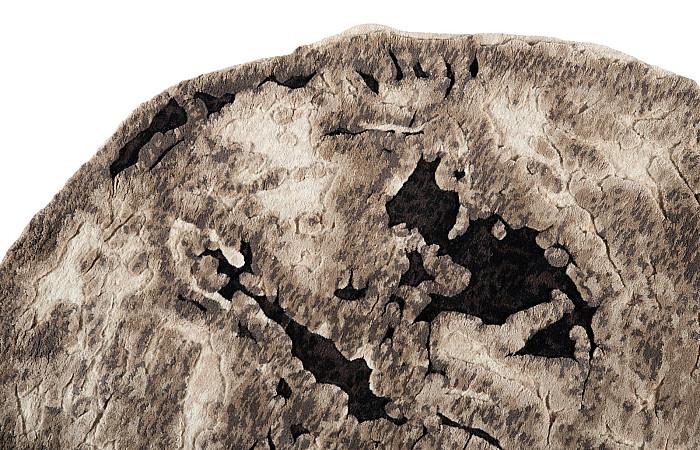 Slice Area Rug, Brown, 6x6