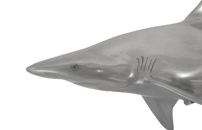 Whaler Shark Fish Wall Sculpture, Resin, Polished Aluminum Finish