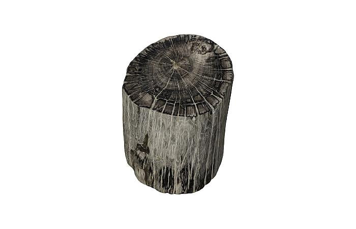 Petrified Wood Stool, Polished