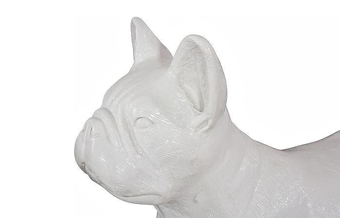 French Bulldog, Gel Coat White