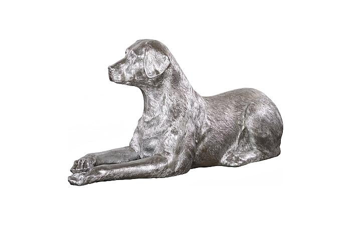 Labrador, Laying, Silver Leaf