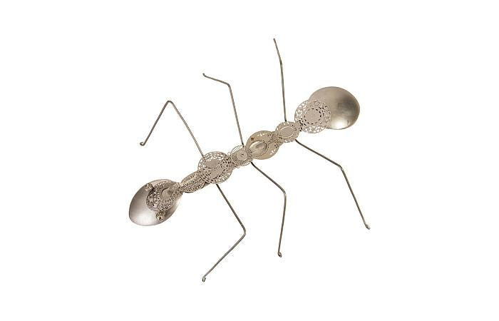 Spoon Ant, XXL