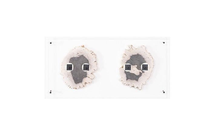 Floating Petrified Double Slice Wall Art