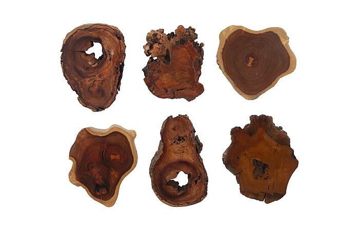 Pradoo Burled Wood Wall Decor