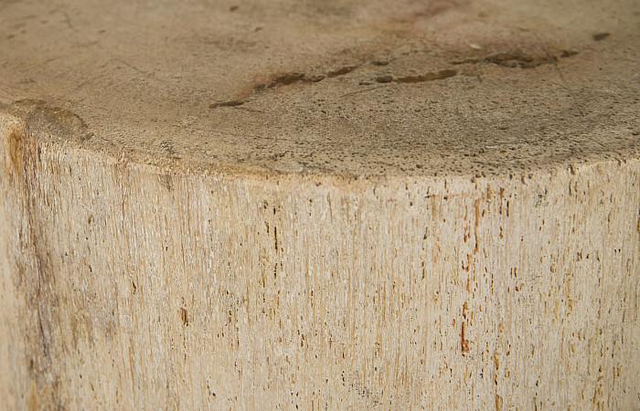 Petrified Wood Stool, Polished, Cream 8"-10" x 17"-19"h, Assorted