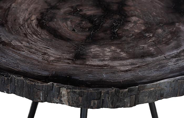 Petrified Coffee Table, Round, Metal Black Base
