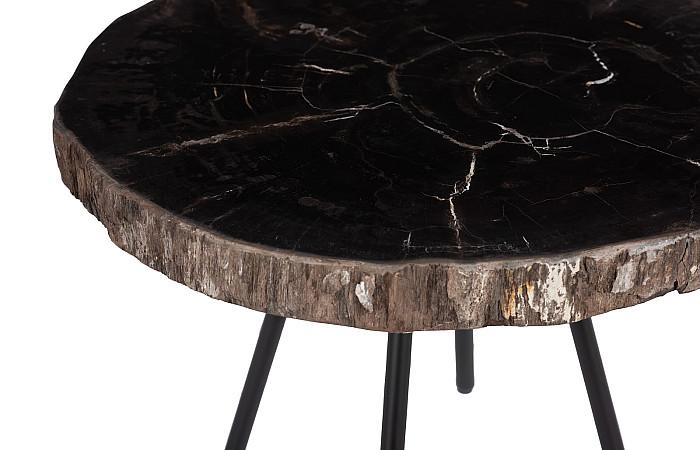 Petrified Coffee Table, Round, Metal Black Base