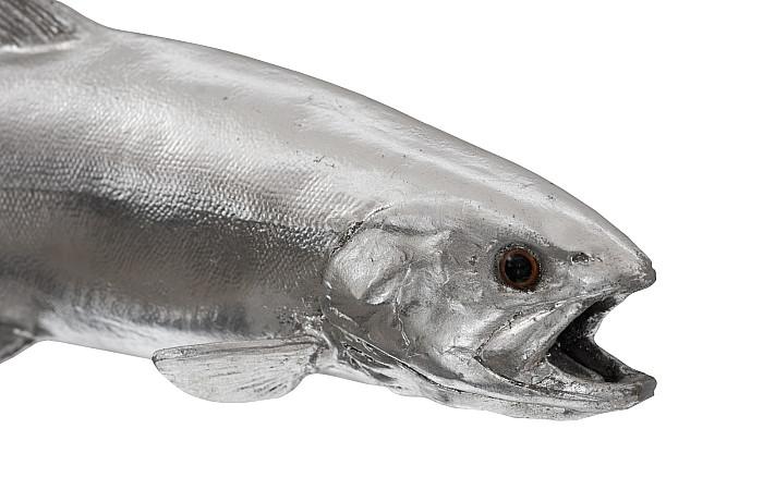 Rainbow Trout Fish, Resin, Silver Leaf