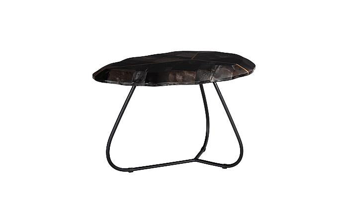 Mosaic Leaf Petrified Coffee Table, Small