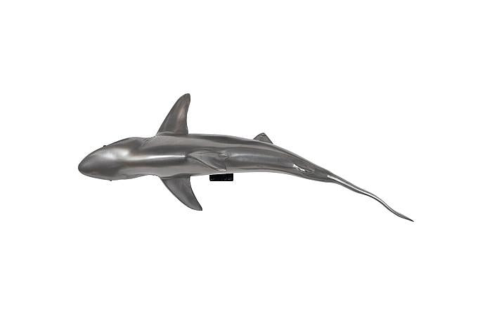 Whaler Shark Fish Wall Sculpture, Resin, Polished Aluminum Finish