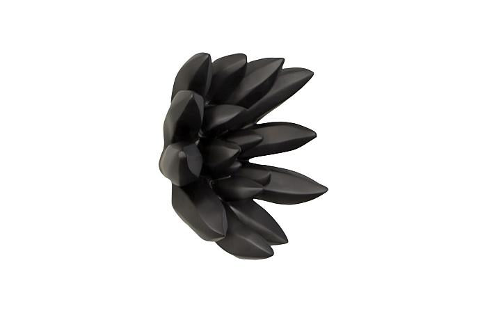 Compactum Succulent Wall Art , Smooth Matte Black