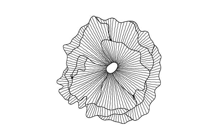 Poppy Flower Wall Art, Silver/Black, SM